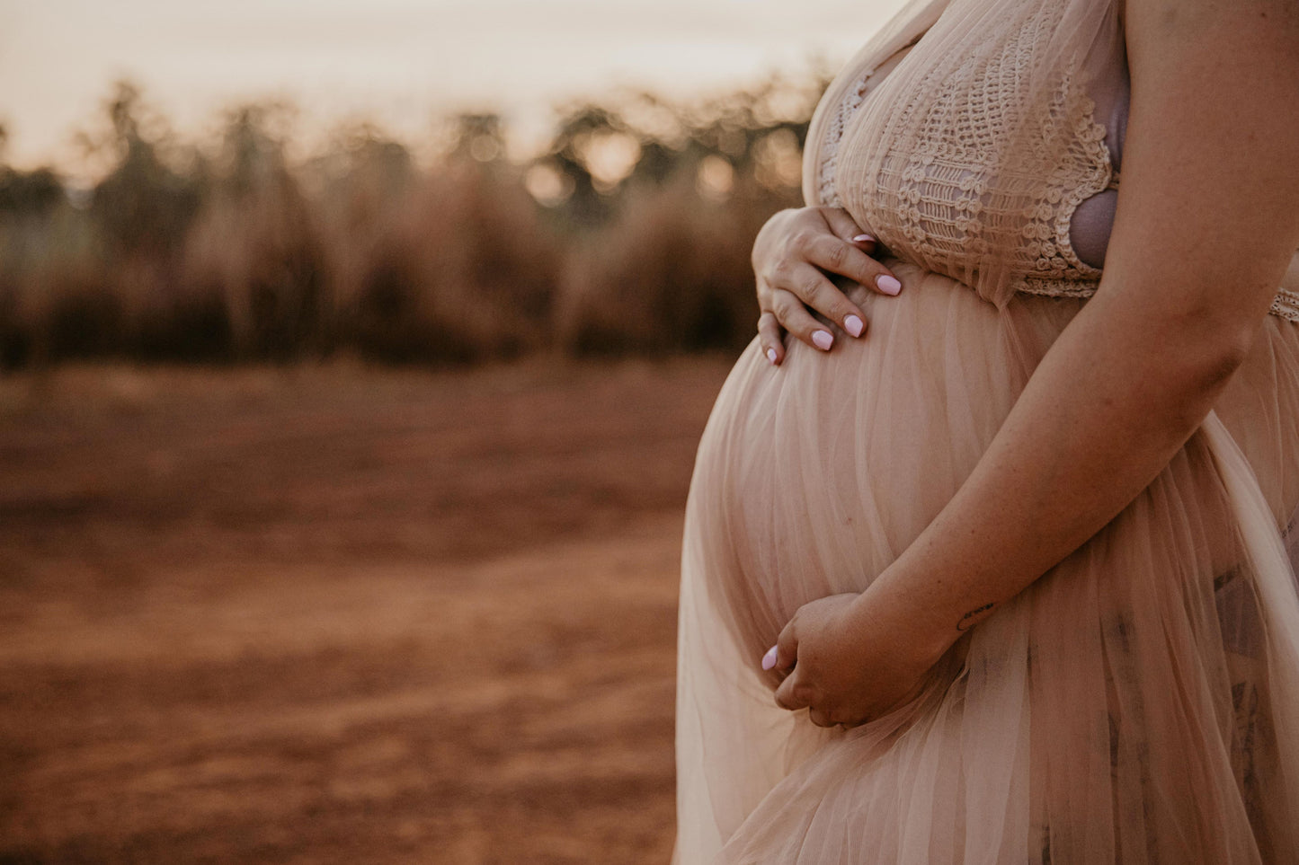 Dress Hire - Maternity Photoshoot Dresses - D&J - Lace and Tulle Dress - DAY RENTAL