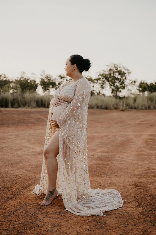 Dress Hire - Photoshoot Dresses - Sparkly Liz Robe D&J - RENTAL