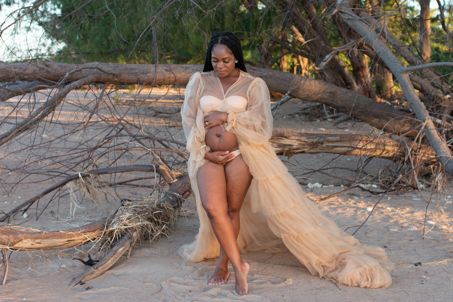 Dress Hire - Photoshoot Dresses - Champange Tulle Robe - 4 DAY RENTAL