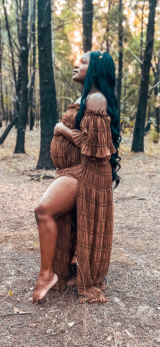 Maternity Photoshoot Dresses - Chiffon Brown Gown