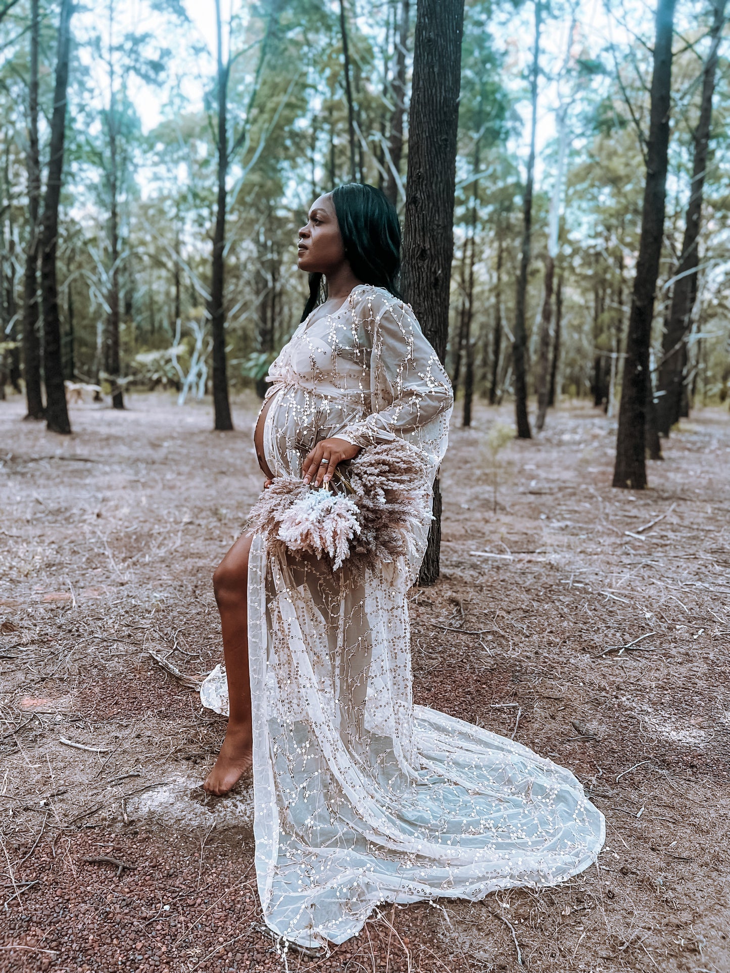 Dress Hire - Photoshoot Dresses - Sparkly Liz Robe D&J - RENTAL