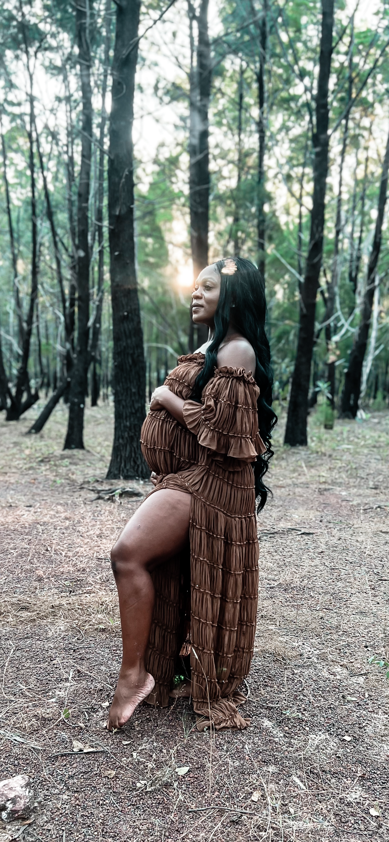 Maternity Photoshoot Dresses - Chiffon Brown Gown