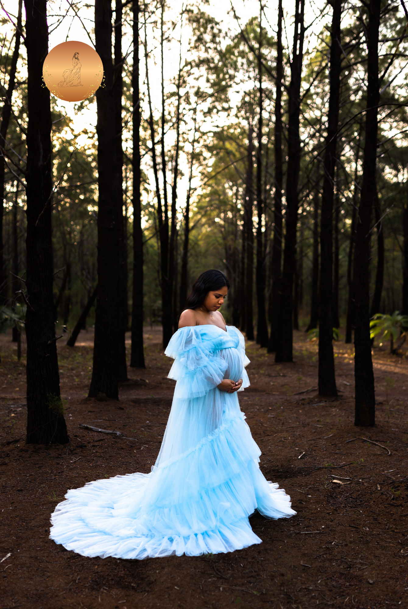 maternity photo shoot gown