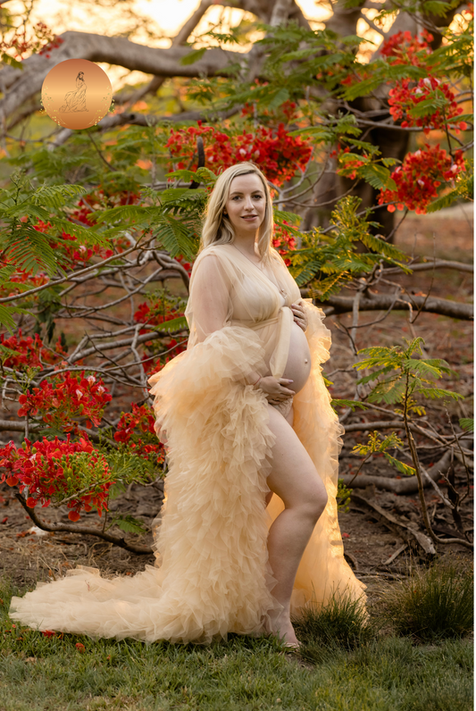Champagne Tulle Robe - Maternity Photography at Darwin Botanical Gardens