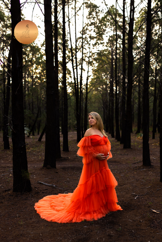 Maternity Photoshoot Dresses