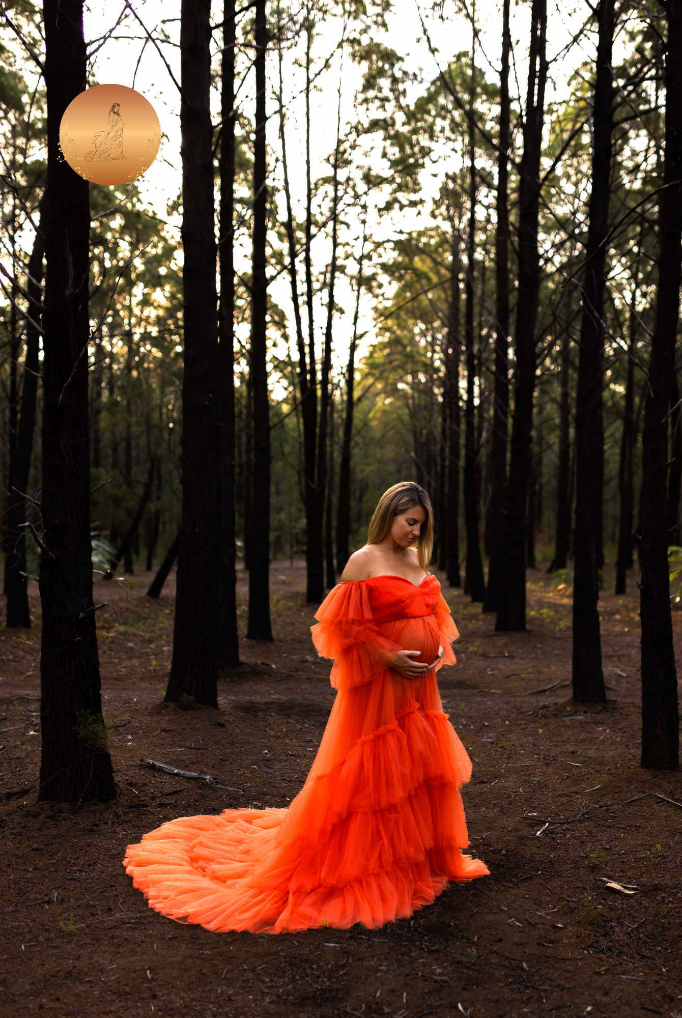 Photoshoot Dresses