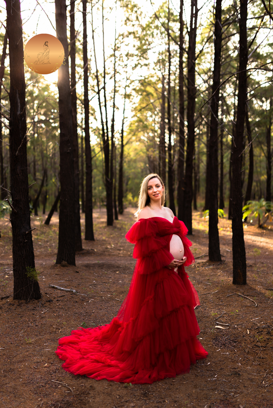 Maternity Dresses For Photoshoot Australia