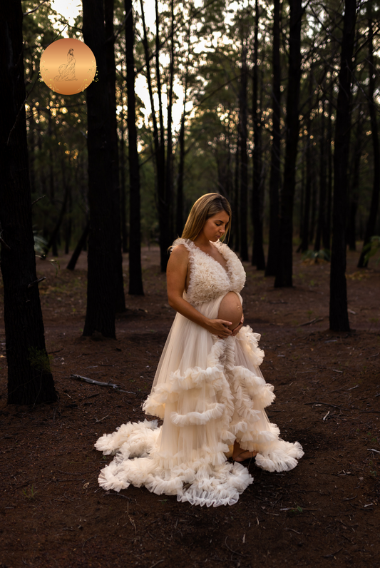 maternity gown for photoshoot