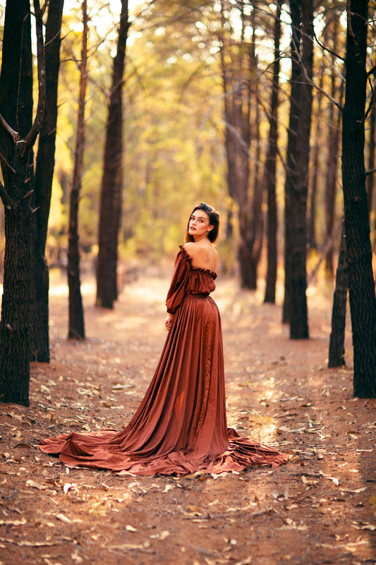 Dress Hire - Maternity Photoshoot Dresses - Brown Satin Dress - 4 DAY RENTAL