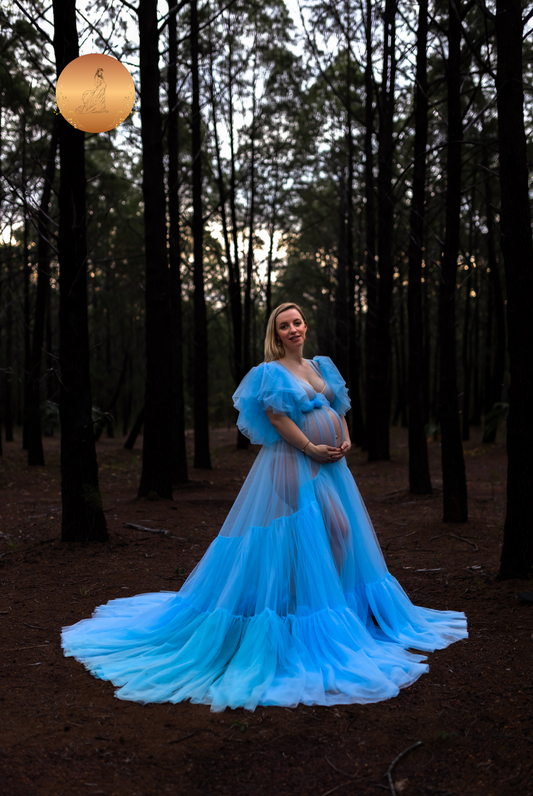 maternity photo shoot gown