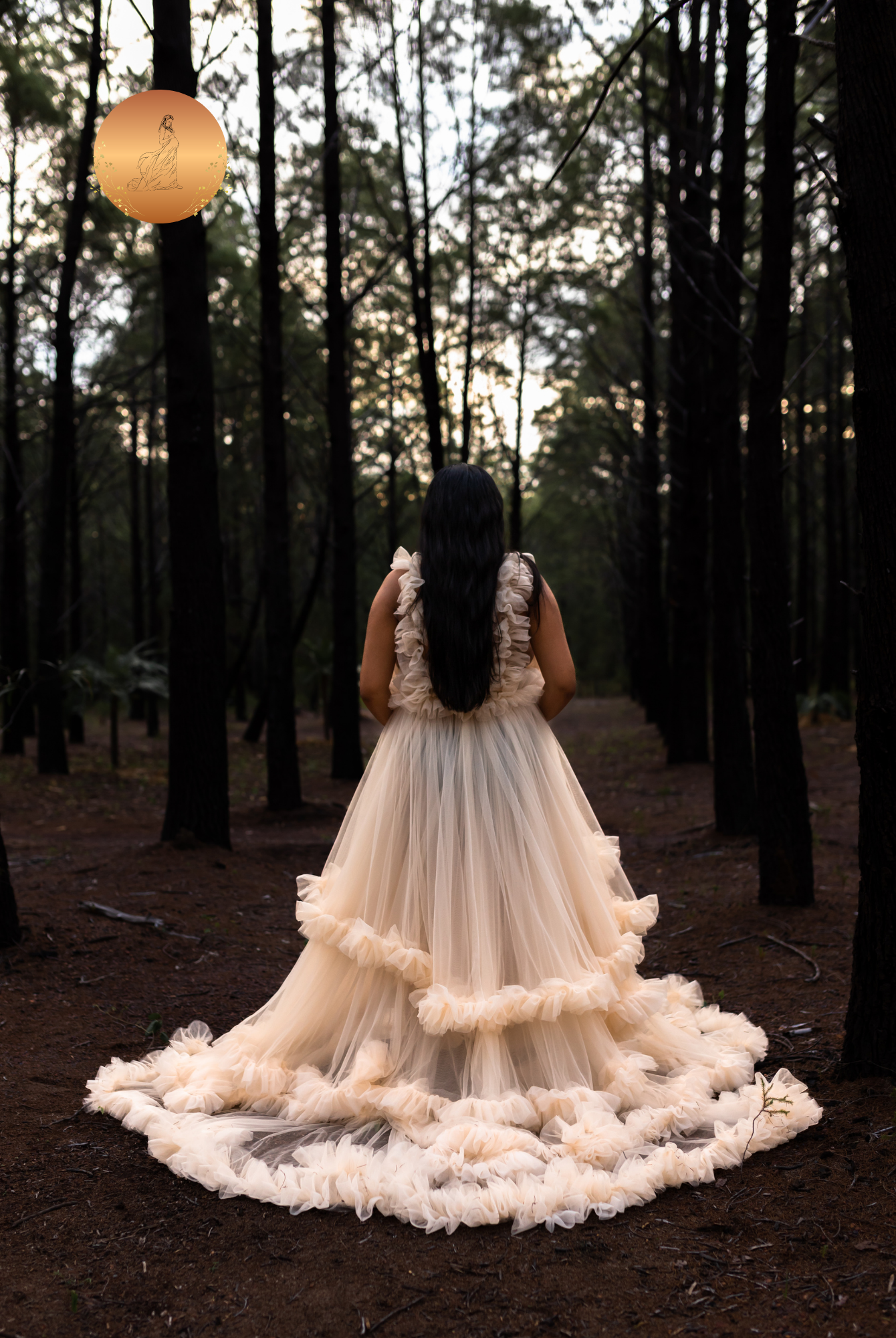 Photoshoot Dresses