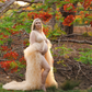 Champagne Tulle Robe - Maternity Photography at Darwin Botanical Gardens