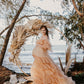 Maternity Photoshoot Dresses - Mocha Ruffles Tulle Gown